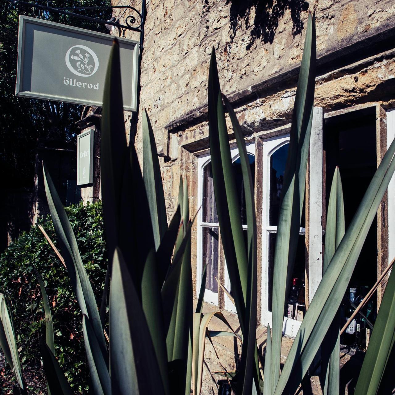 Hotel The Ollerod Beaminster Zewnętrze zdjęcie